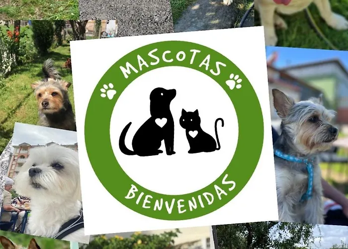 Ostende View Apartamento