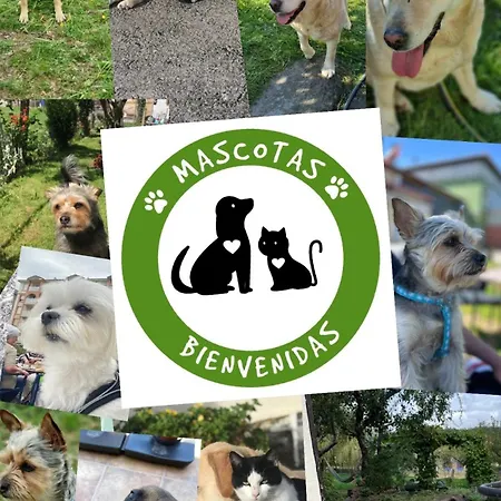 Ostende View 아파트